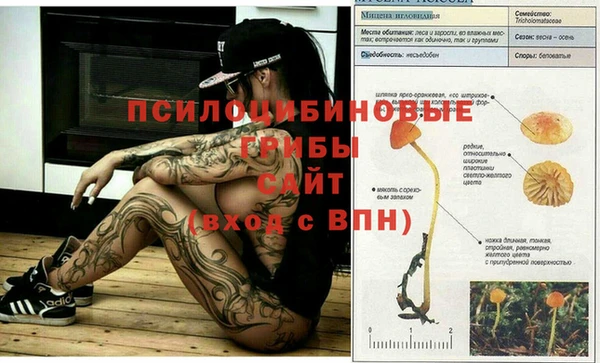 амфетамин Алексин